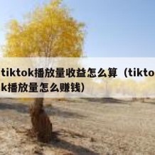 tiktok播放量收益怎么算（tiktok播放量怎么赚钱）