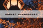 插件网站推荐（chrome插件网站推荐）