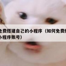 如何免费搭建自己的小程序（如何免费搭建自己的小程序账号）