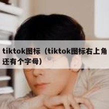 tiktok图标（tiktok图标右上角还有个字母）