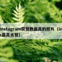 Instagram获赞数最高的照片（ins最高点赞）