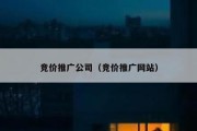 竞价推广公司（竞价推广网站）