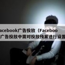 facebook广告投放（Facebook广告投放中需对投放预算进行设置）