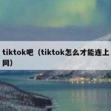 tiktok吧（tiktok怎么才能连上网）