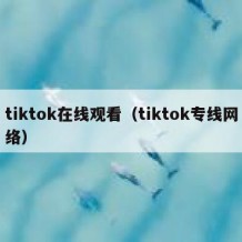 tiktok在线观看（tiktok专线网络）