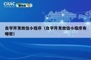 自学开发微信小程序（自学开发微信小程序有哪些）
