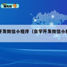 自学开发微信小程序（自学开发微信小程序有哪些）