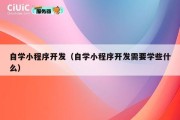 自学小程序开发（自学小程序开发需要学些什么）