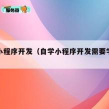 自学小程序开发（自学小程序开发需要学些什么）