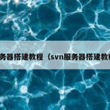 服务器搭建教程（svn服务器搭建教程）