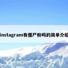 instagram有僵尸粉吗的简单介绍