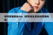 如何搭建网站dns（购买域名后如何搭建网站）