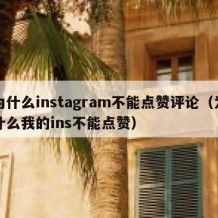 为什么instagram不能点赞评论（为什么我的ins不能点赞）