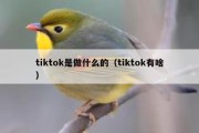 tiktok是做什么的（tiktok有啥）