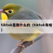 tiktok是做什么的（tiktok有啥）