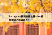 instagram视频的播放量（ins视频播放次数怎么算）