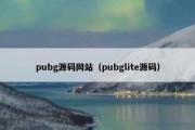 pubg源码网站（pubglite源码）