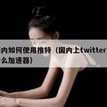 国内如何使用推特（国内上twitter用什么加速器）