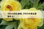 tiktok怎么登陆（TikTok怎么登陆不上）