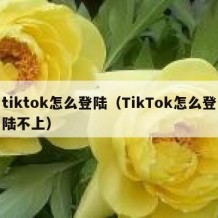 tiktok怎么登陆（TikTok怎么登陆不上）