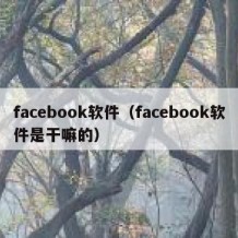 facebook软件（facebook软件是干嘛的）