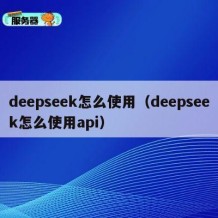 deepseek怎么使用（deepseek怎么使用api）