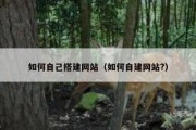 如何自己搭建网站（如何自建网站?）