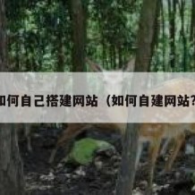 如何自己搭建网站（如何自建网站?）