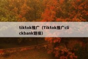 tiktok推广（Tiktok推广clickbank链接）