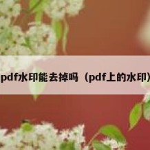 pdf水印能去掉吗（pdf上的水印）