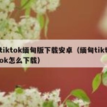 tiktok缅甸版下载安卓（缅甸tiktok怎么下载）