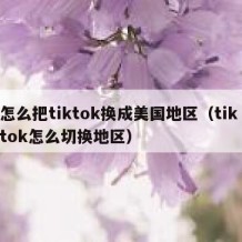 怎么把tiktok换成美国地区（tik tok怎么切换地区）