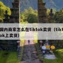 国内商家怎么在tiktok卖货（tiktok上卖货）