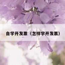 自学开发票（怎样学开发票）