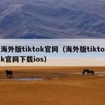 海外版tiktok官网（海外版tiktok官网下载ios）