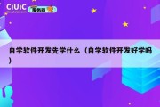 自学软件开发先学什么（自学软件开发好学吗）