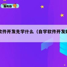 自学软件开发先学什么（自学软件开发好学吗）