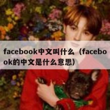 facebook中文叫什么（facebook的中文是什么意思）