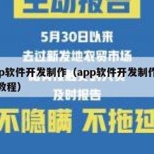 app软件开发制作（app软件开发制作全套教程）