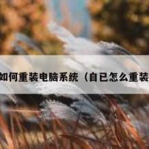 自己如何重装电脑系统（自已怎么重装系统）