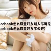 facebook怎么设置好友别人不可见（facebook怎么设置好友不公开）