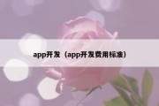 app开发（app开发费用标准）