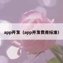 app开发（app开发费用标准）