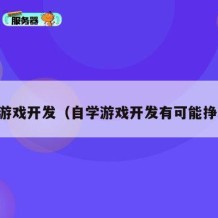 自学游戏开发（自学游戏开发有可能挣钱吗）
