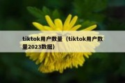 tiktok用户数量（tiktok用户数量2023数据）