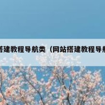 网站搭建教程导航类（网站搭建教程导航类软件）