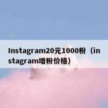 Instagram20元1000粉（instagram增粉价格）