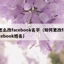 怎么改facebook名字（如何更改facebook姓名）