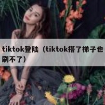 tiktok登陆（tiktok搭了梯子也刷不了）