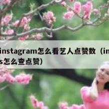 instagram怎么看艺人点赞数（ins怎么查点赞）